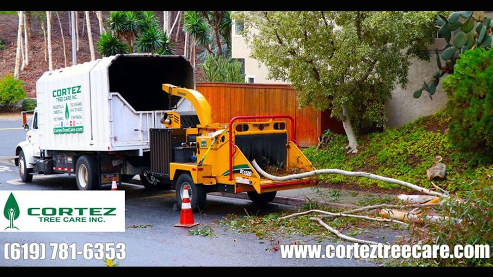Cortez Tree Care Inc