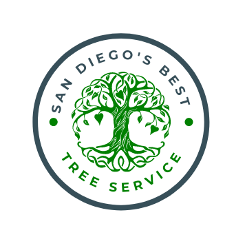 San Diego’s Best Tree Service